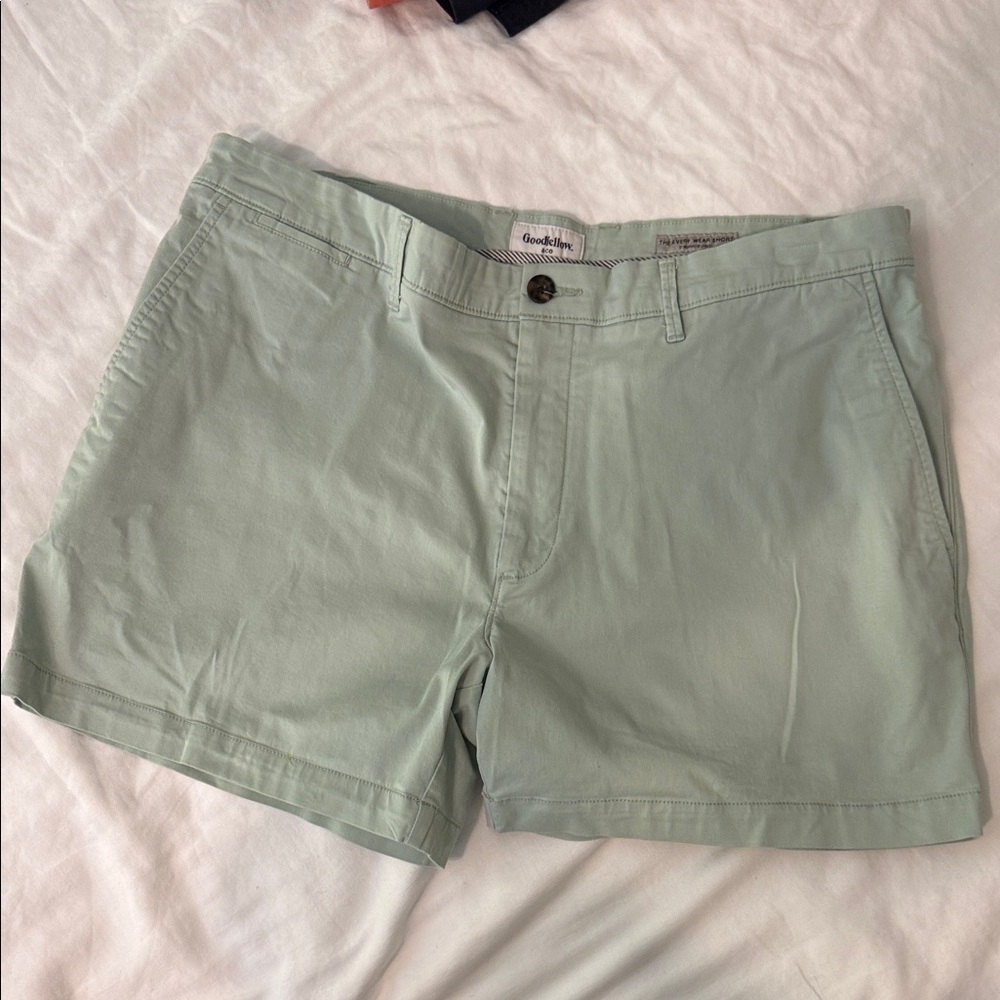 Goodfellow & Co Mint Green Chino Shorts